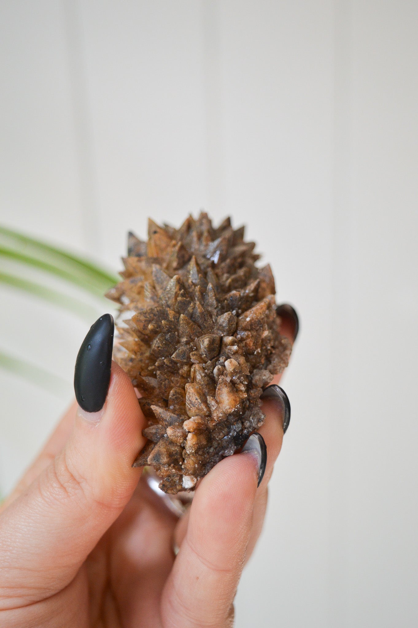 Dogtooth Calcite Specimen #1