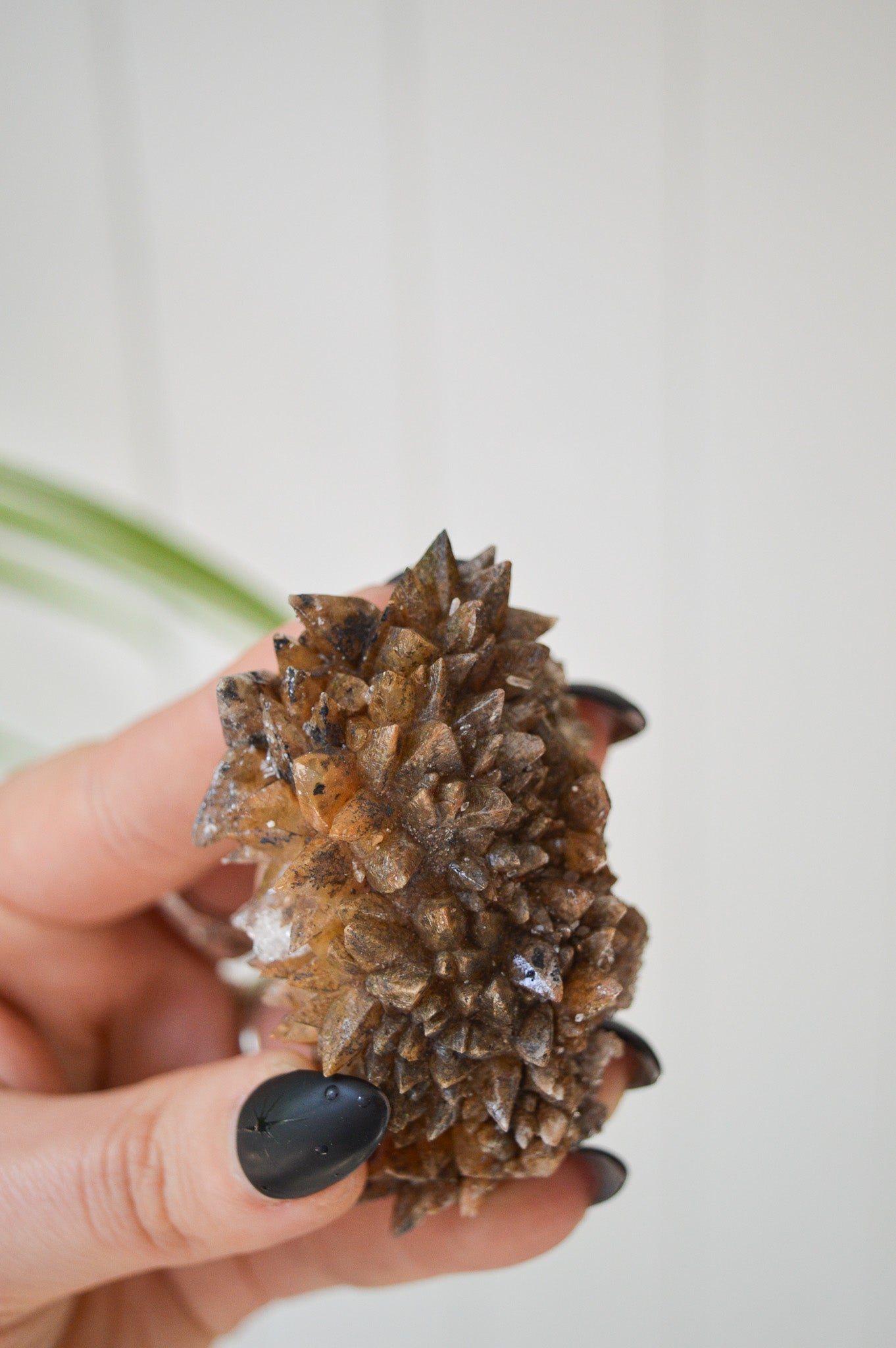 Dogtooth Calcite Specimen #1