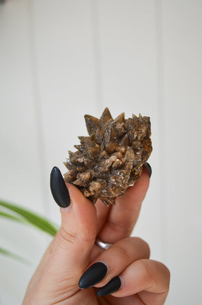 Dogtooth Calcite Specimen #2