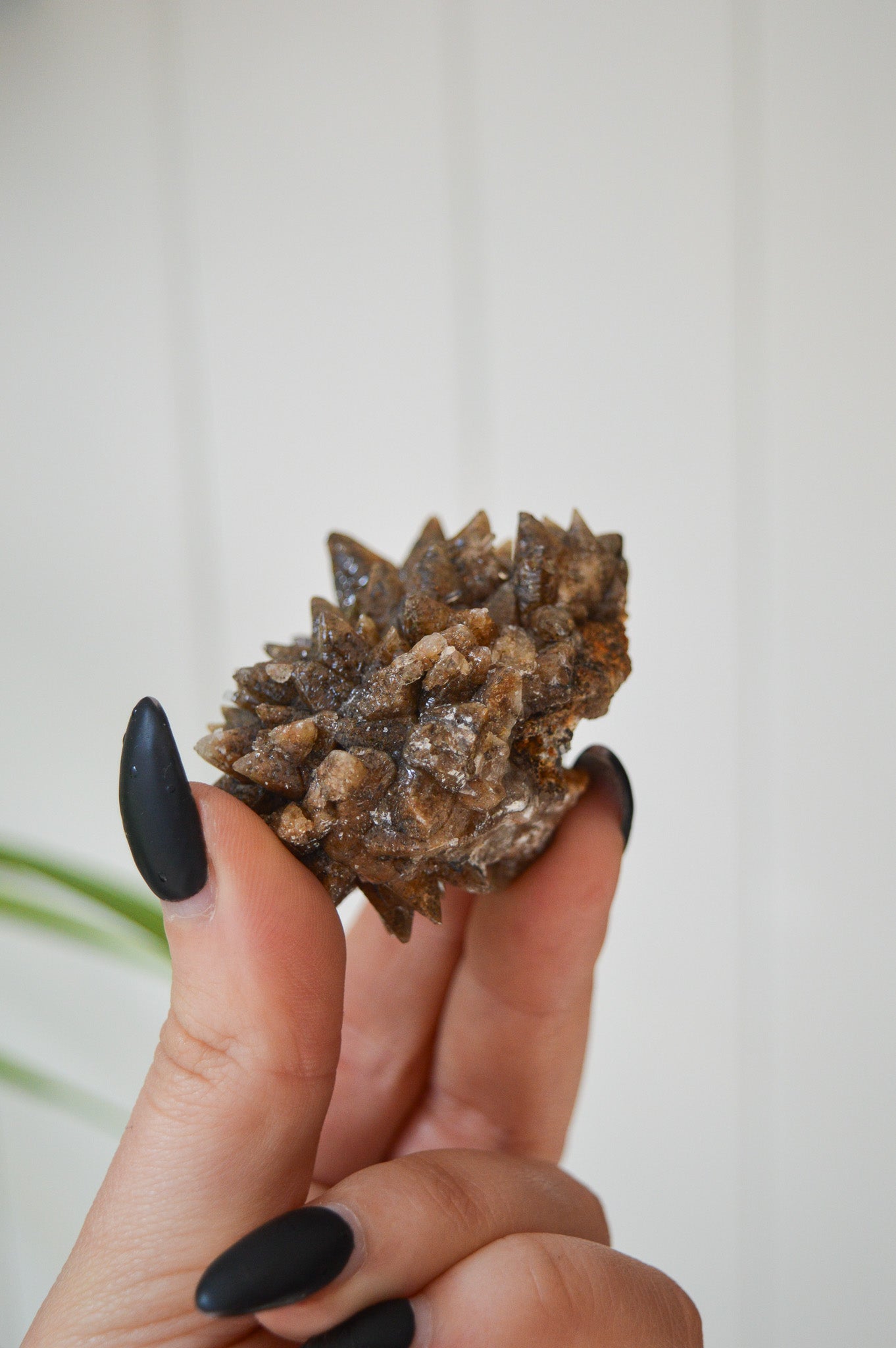 Dogtooth Calcite Specimen #2