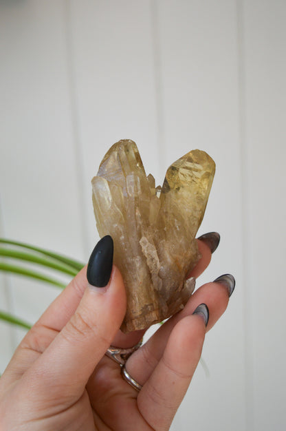 Natural Citrine Twin Point Specimen