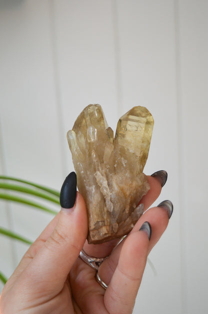 Natural Citrine Twin Point Specimen