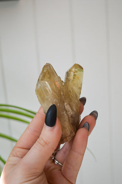 Natural Citrine Twin Point Specimen