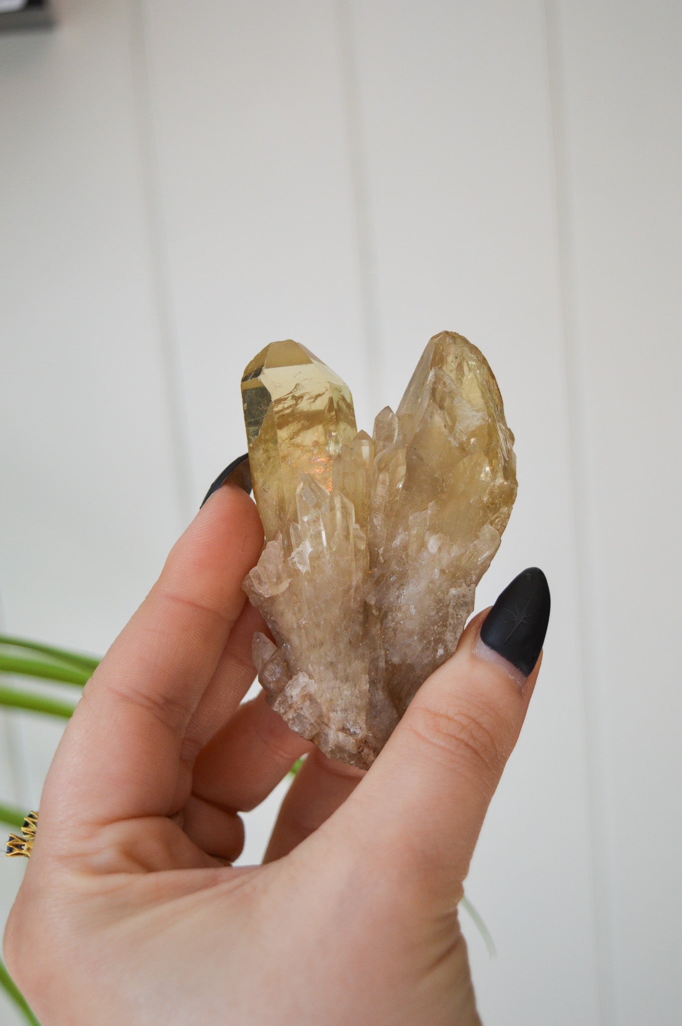 Natural Citrine Twin Point Specimen