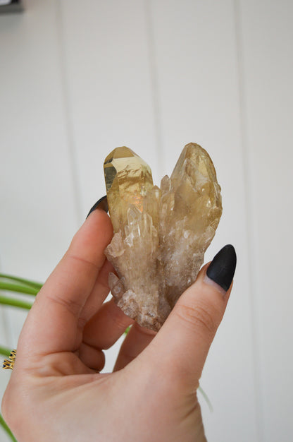 Natural Citrine Twin Point Specimen