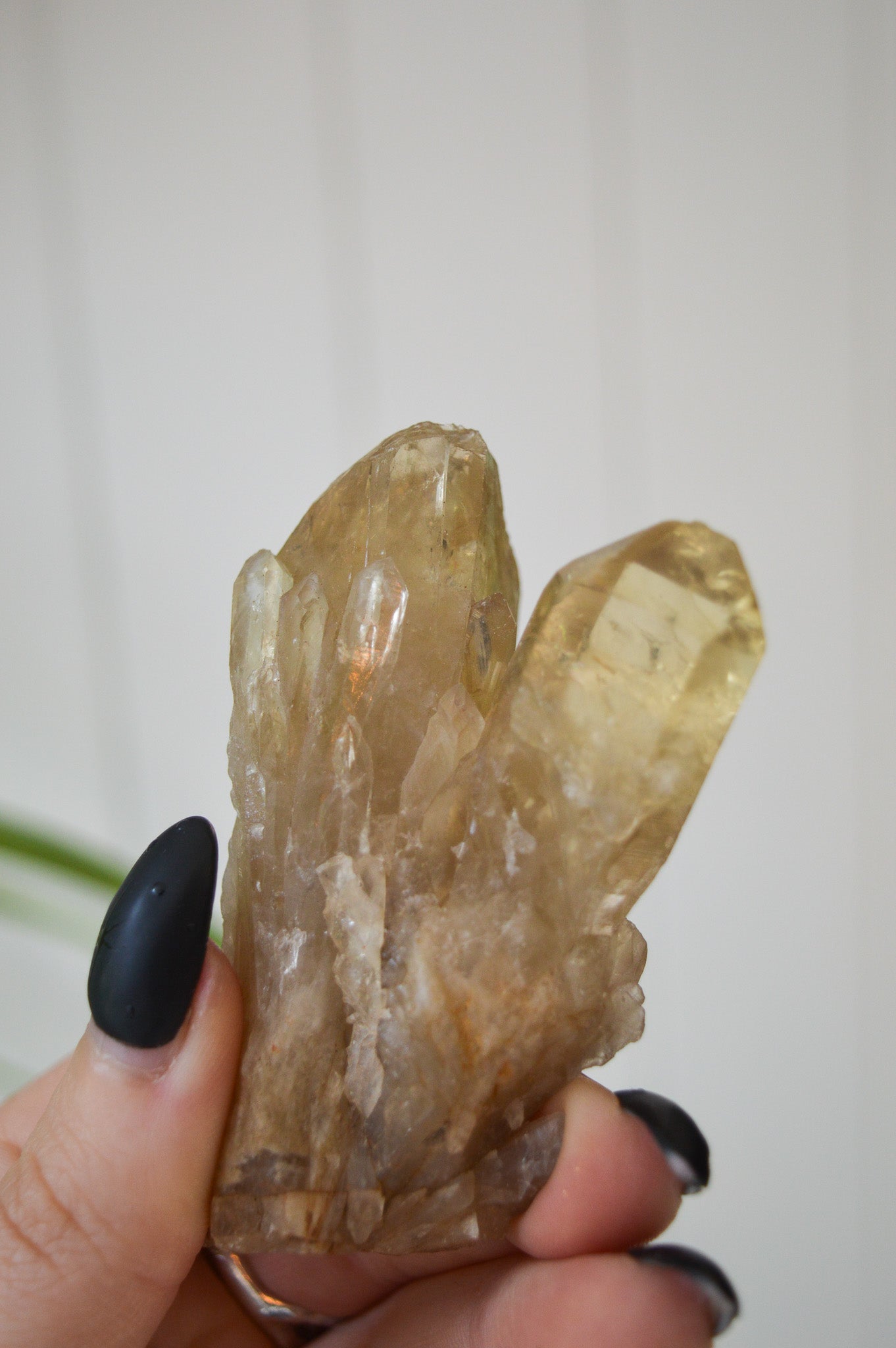 Natural Citrine Twin Point Specimen