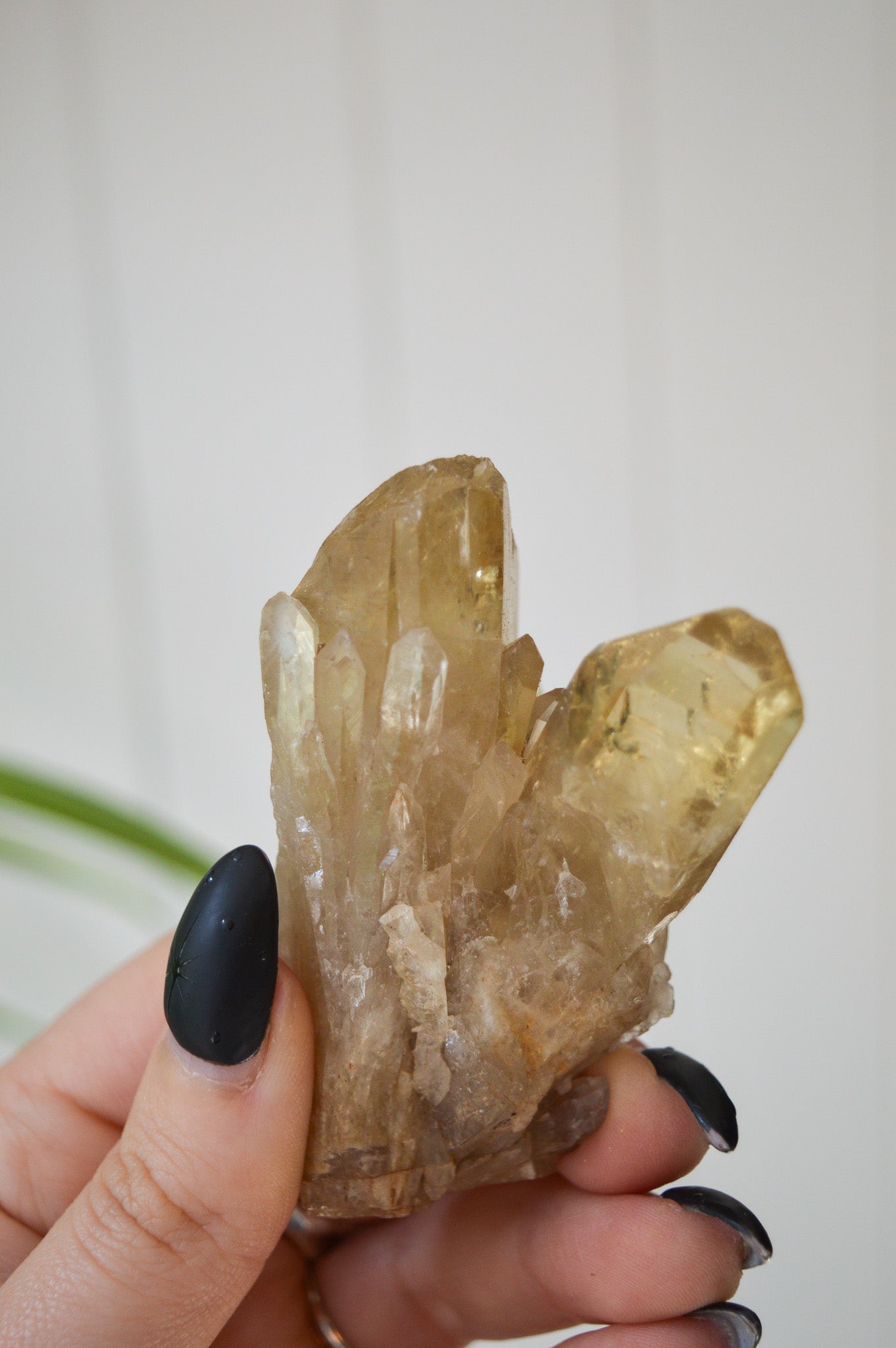 Natural Citrine Twin Point Specimen