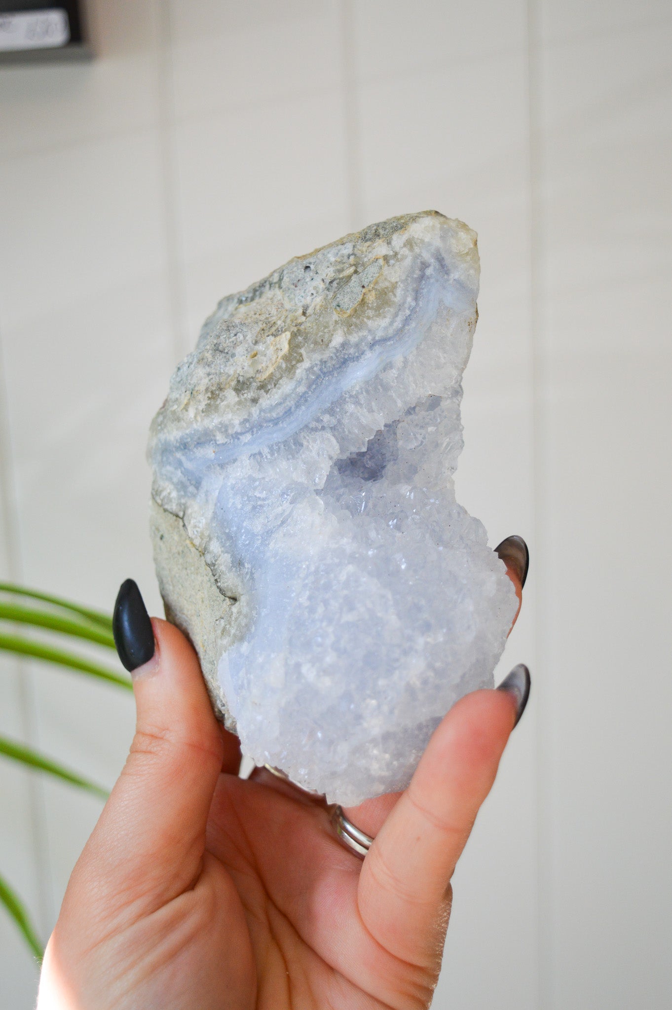 Blue Lace Agate Rough Specimen