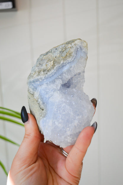 Blue Lace Agate Rough Specimen