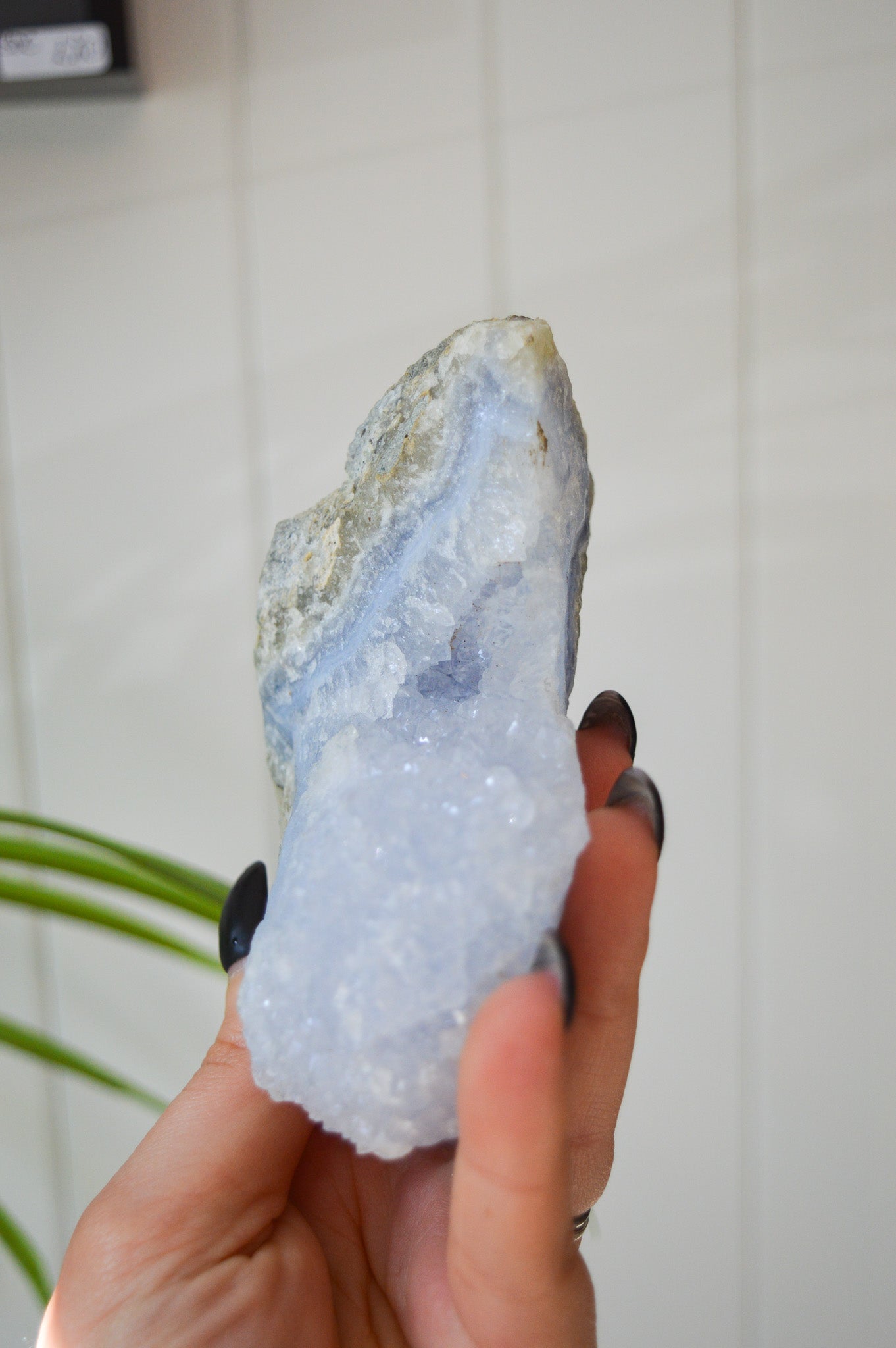 Blue Lace Agate Rough Specimen
