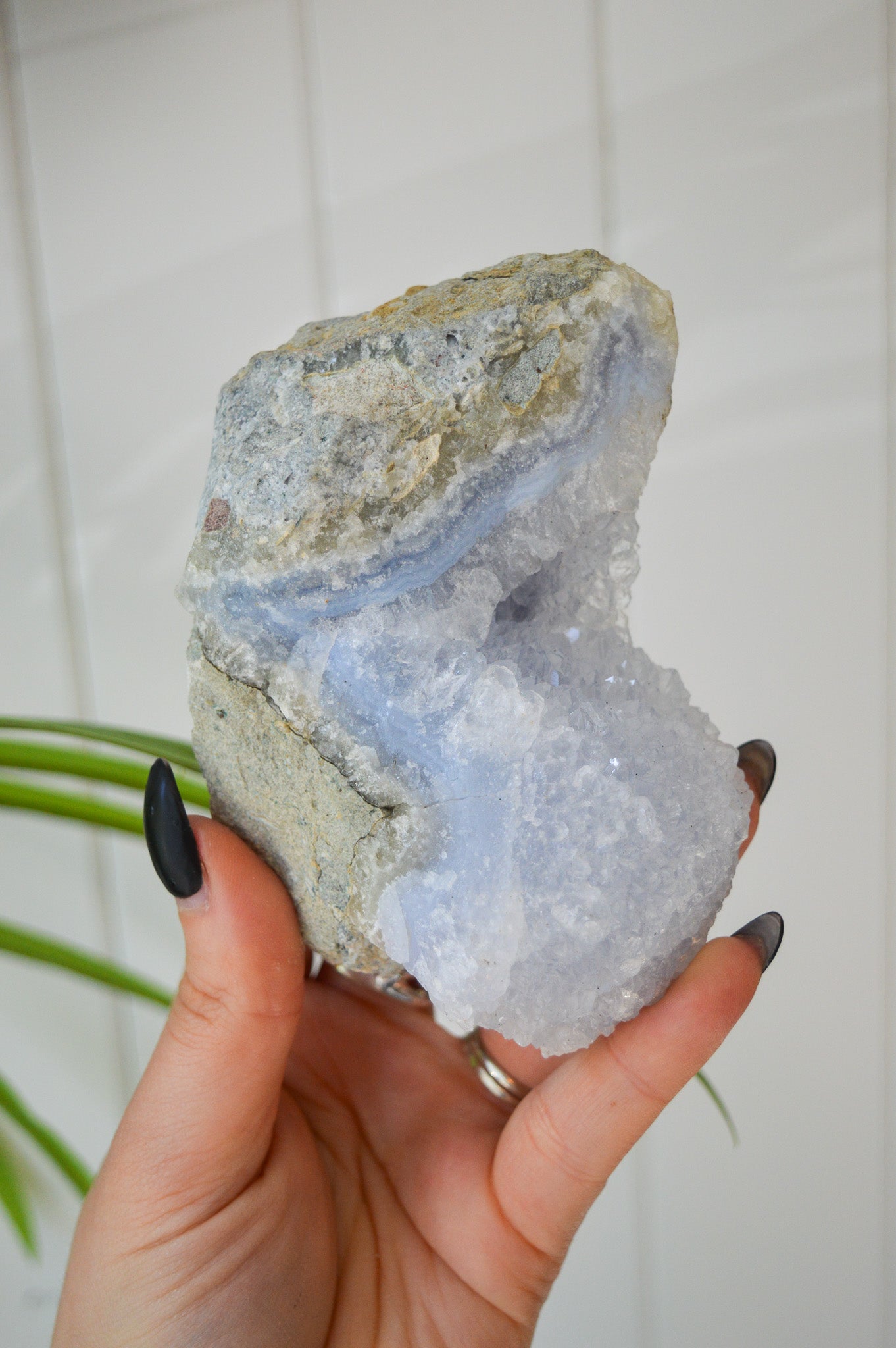 Blue Lace Agate Rough Specimen
