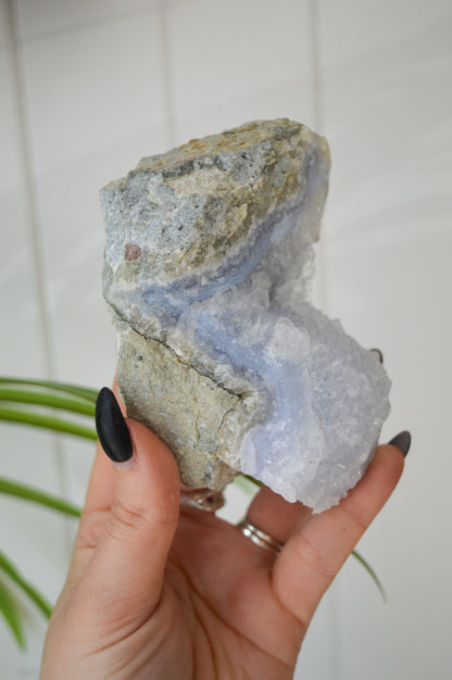 Blue Lace Agate Rough Specimen