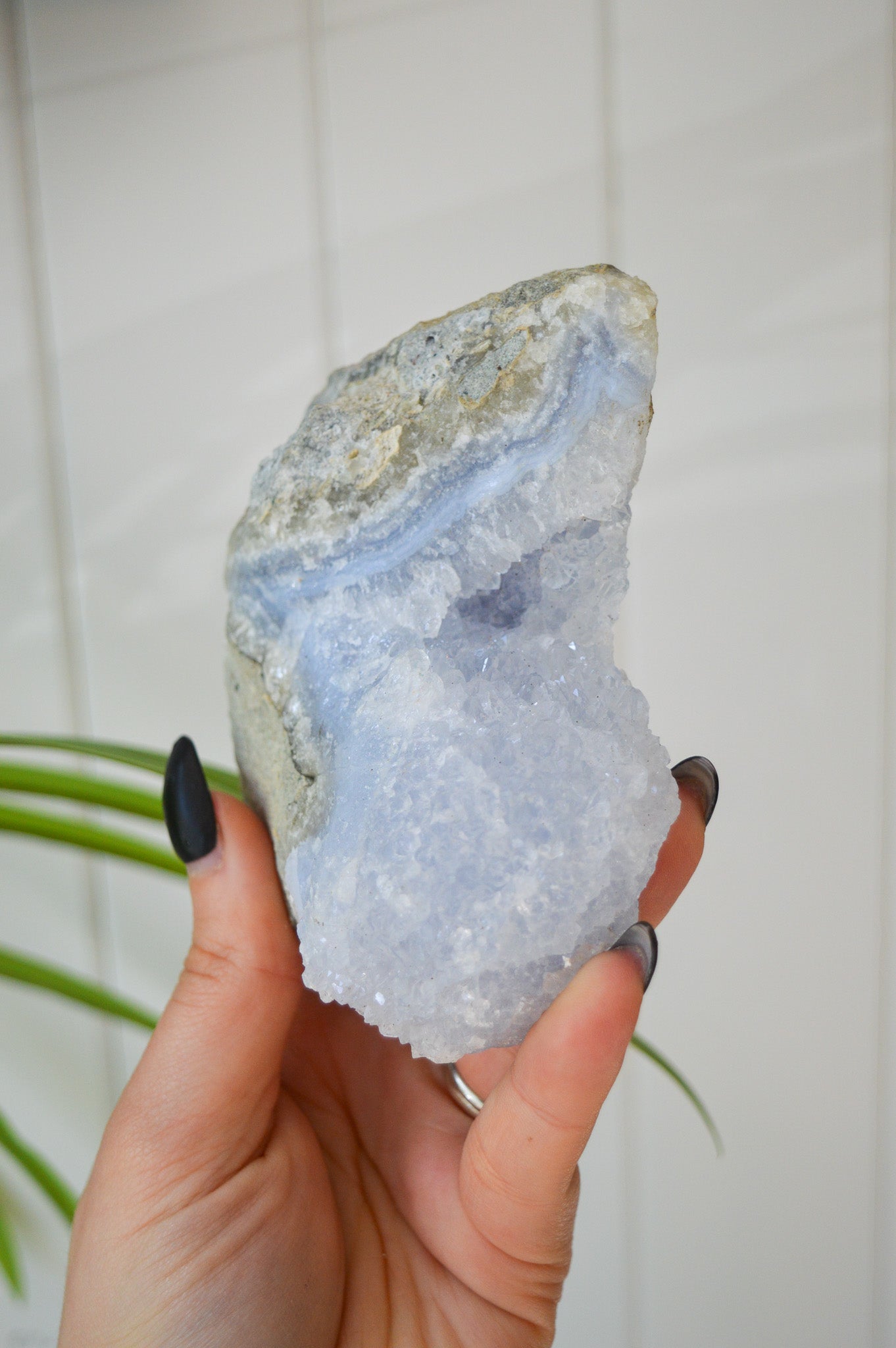 Blue Lace Agate Rough Specimen