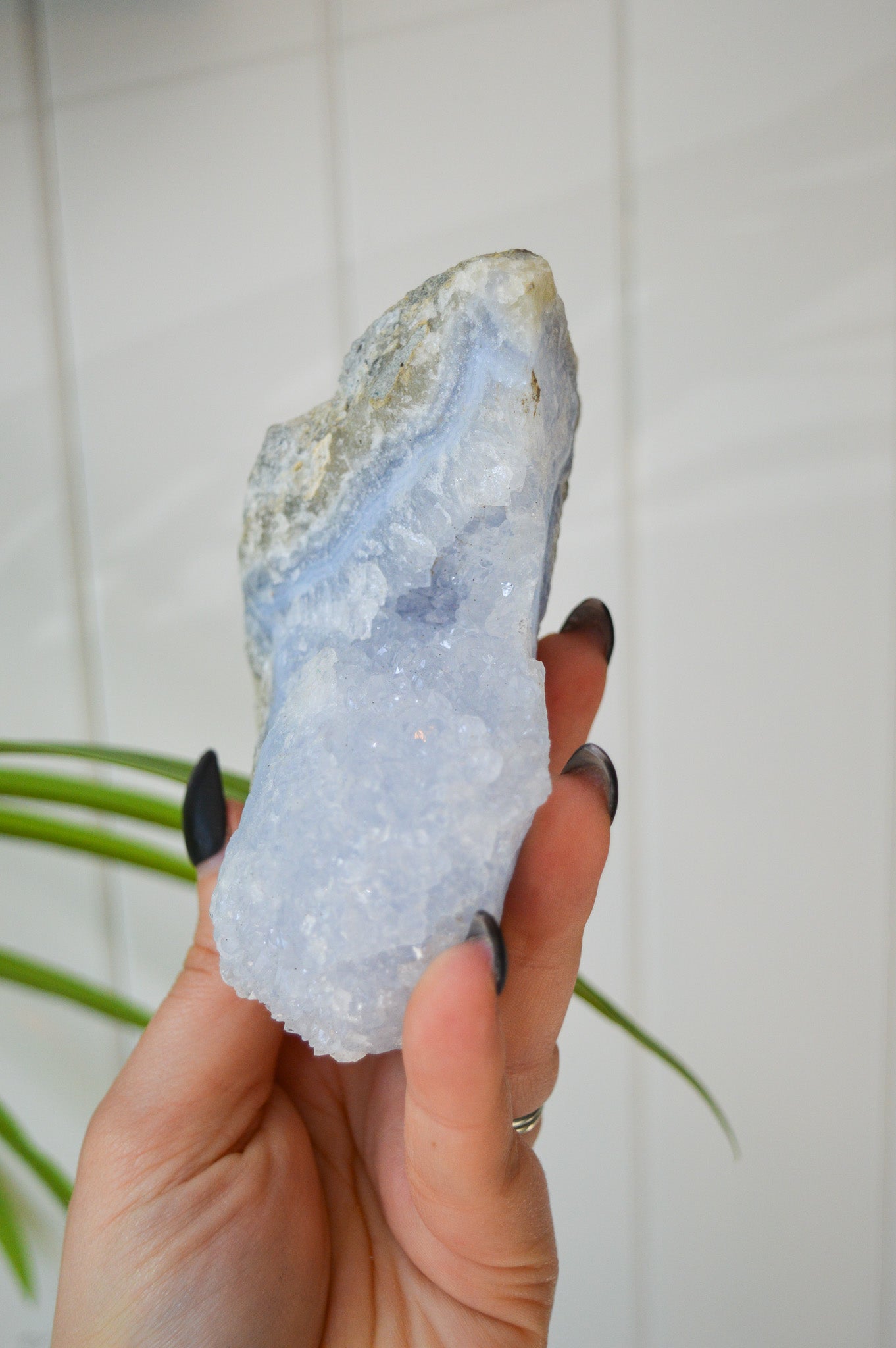 Blue Lace Agate Rough Specimen