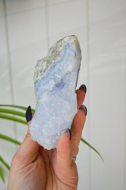 Blue Lace Agate Rough Specimen