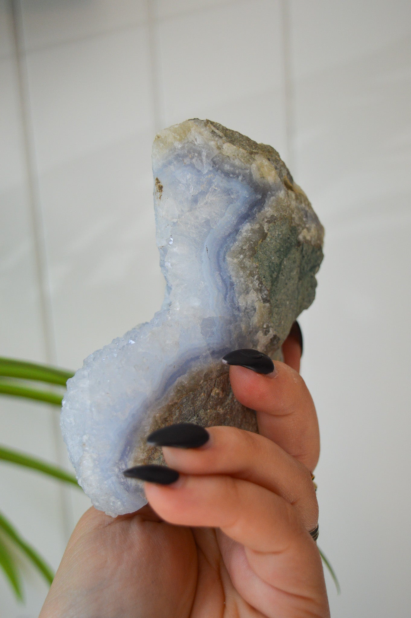 Blue Lace Agate Rough Specimen