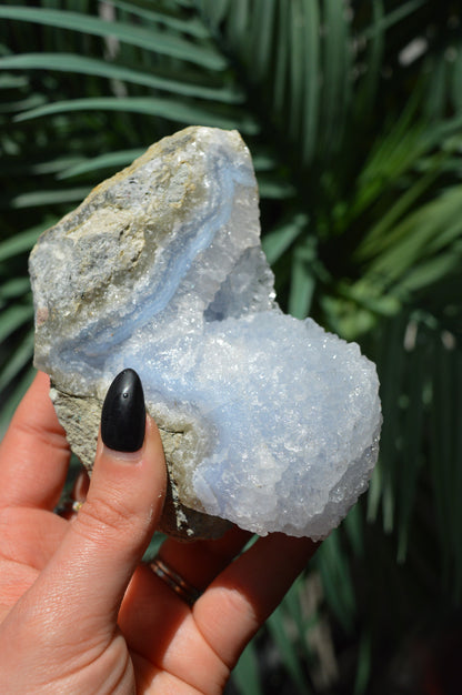 Blue Lace Agate Rough Specimen