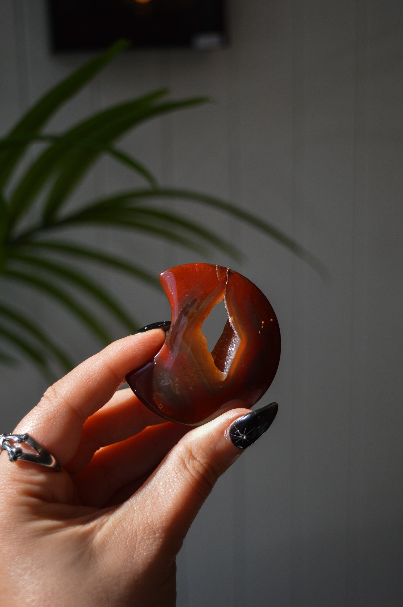 Carnelian Moon #1