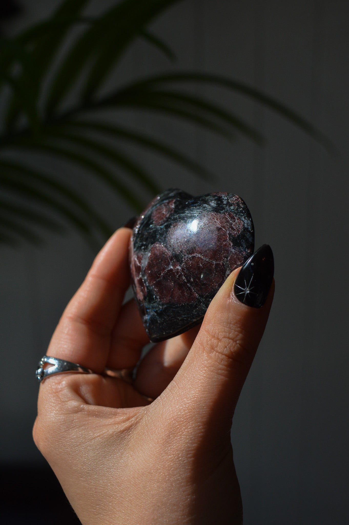 Garnet in Arfvedsonite Heart #1