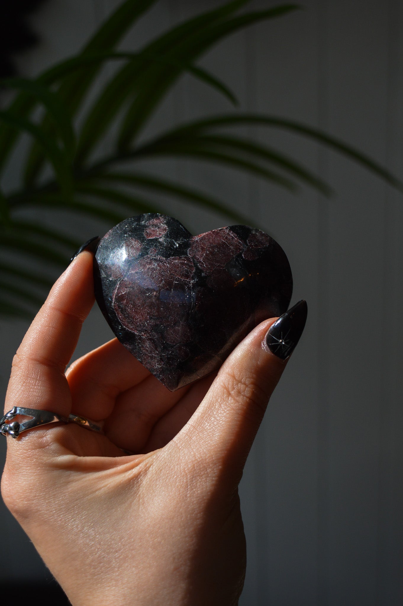 Garnet in Arfvedsonite Heart #2