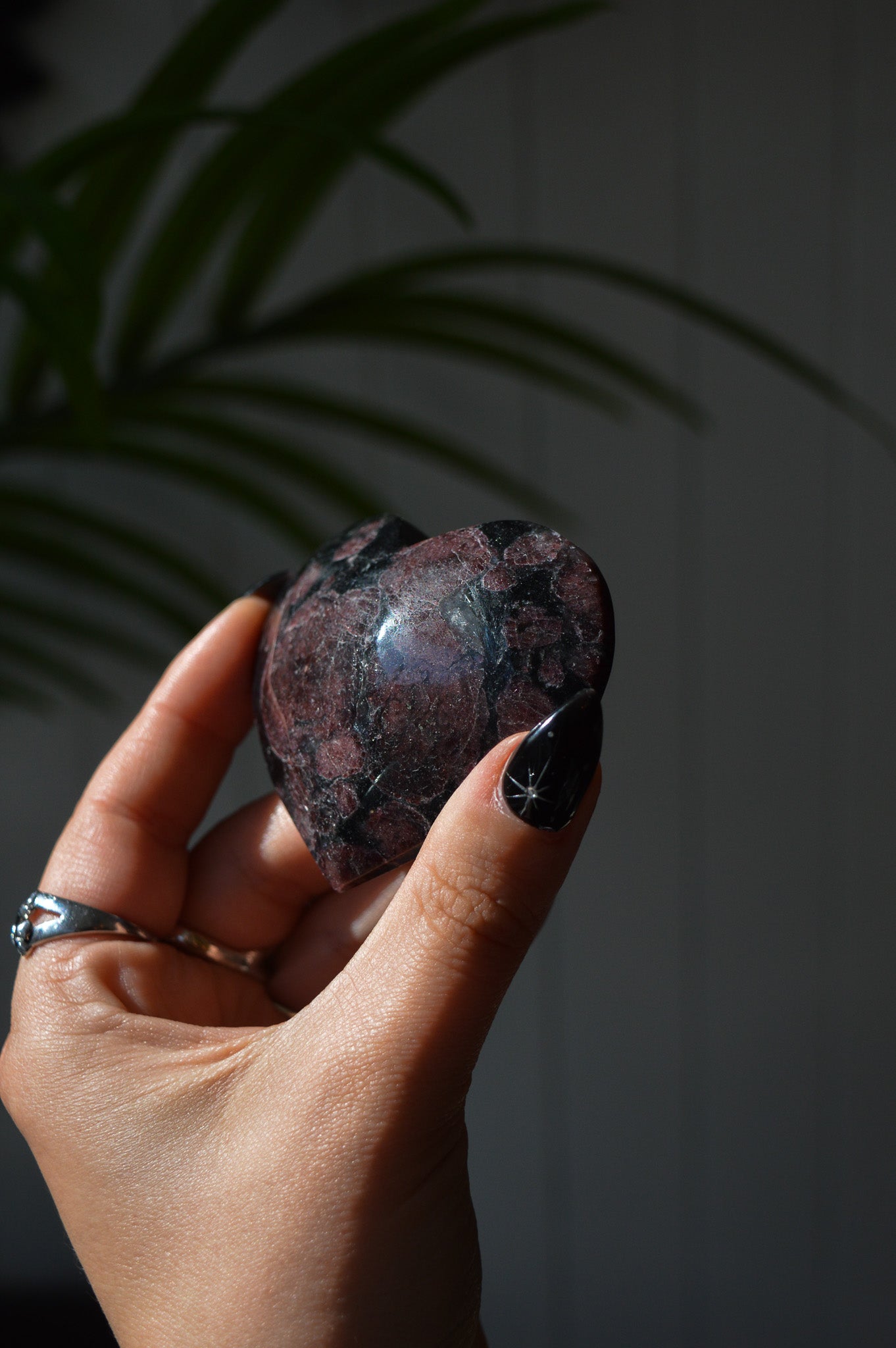 Garnet in Arfvedsonite Heart #2