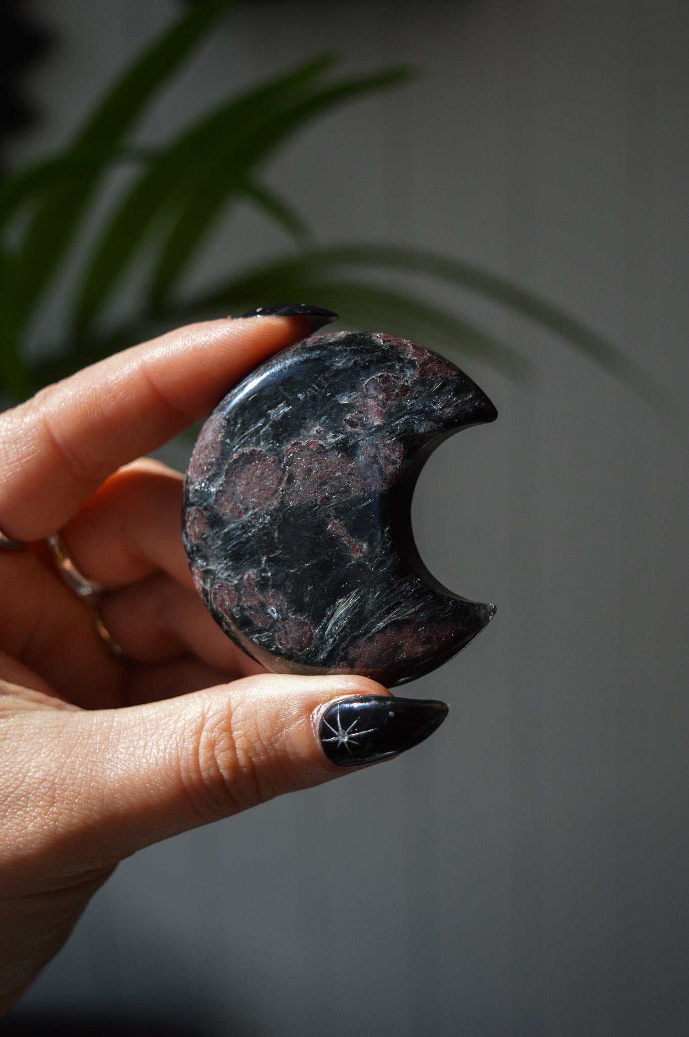 Garnet in Arfvedsonite Moon #1