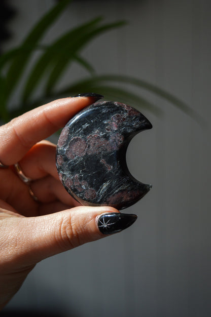 Garnet in Arfvedsonite Moon #1