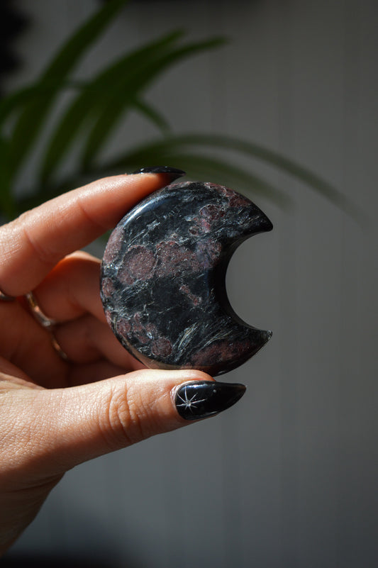 Garnet in Arfvedsonite Moon #1