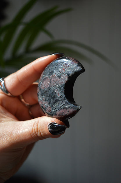 Garnet in Arfvedsonite Moon #1