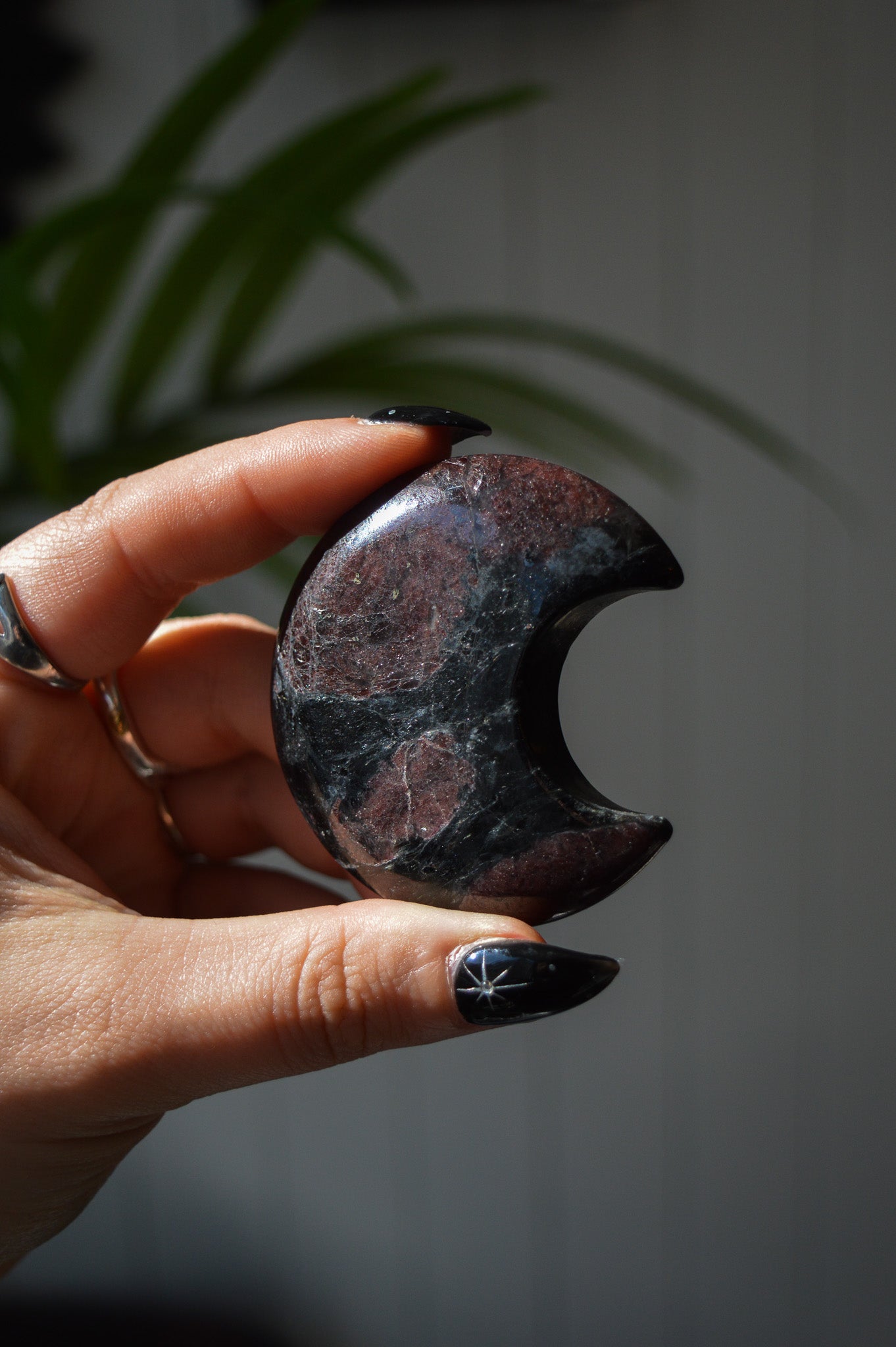 Garnet in Arfvedsonite Moon #2