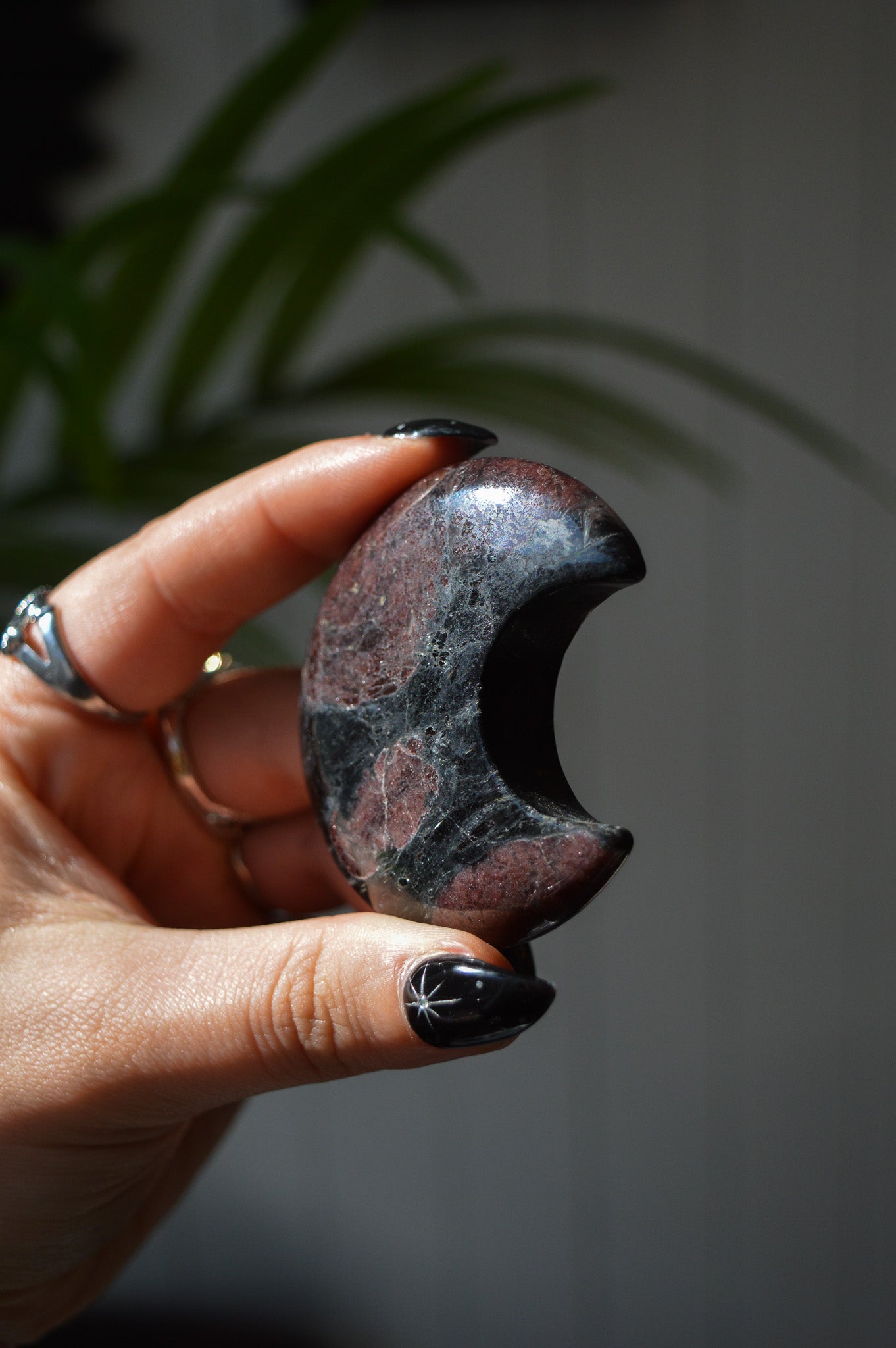 Garnet in Arfvedsonite Moon #2