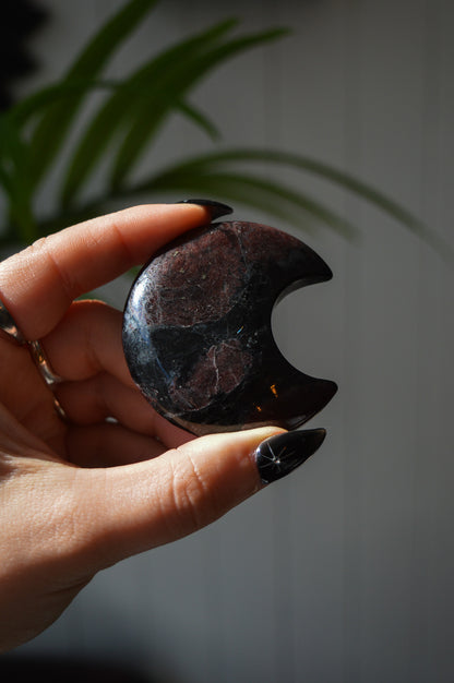 Garnet in Arfvedsonite Moon #2