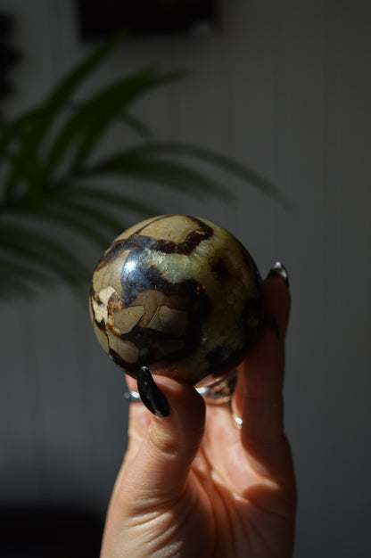 Septarian Sphere