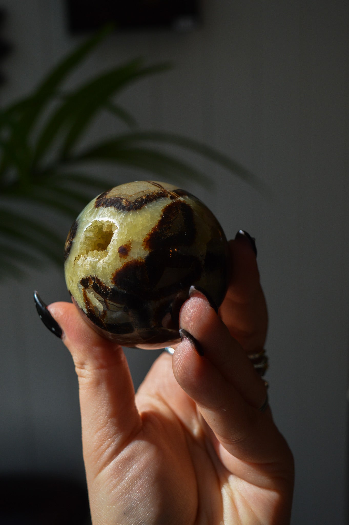 Septarian Sphere