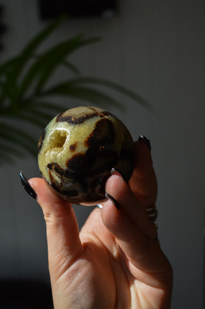 Septarian Sphere