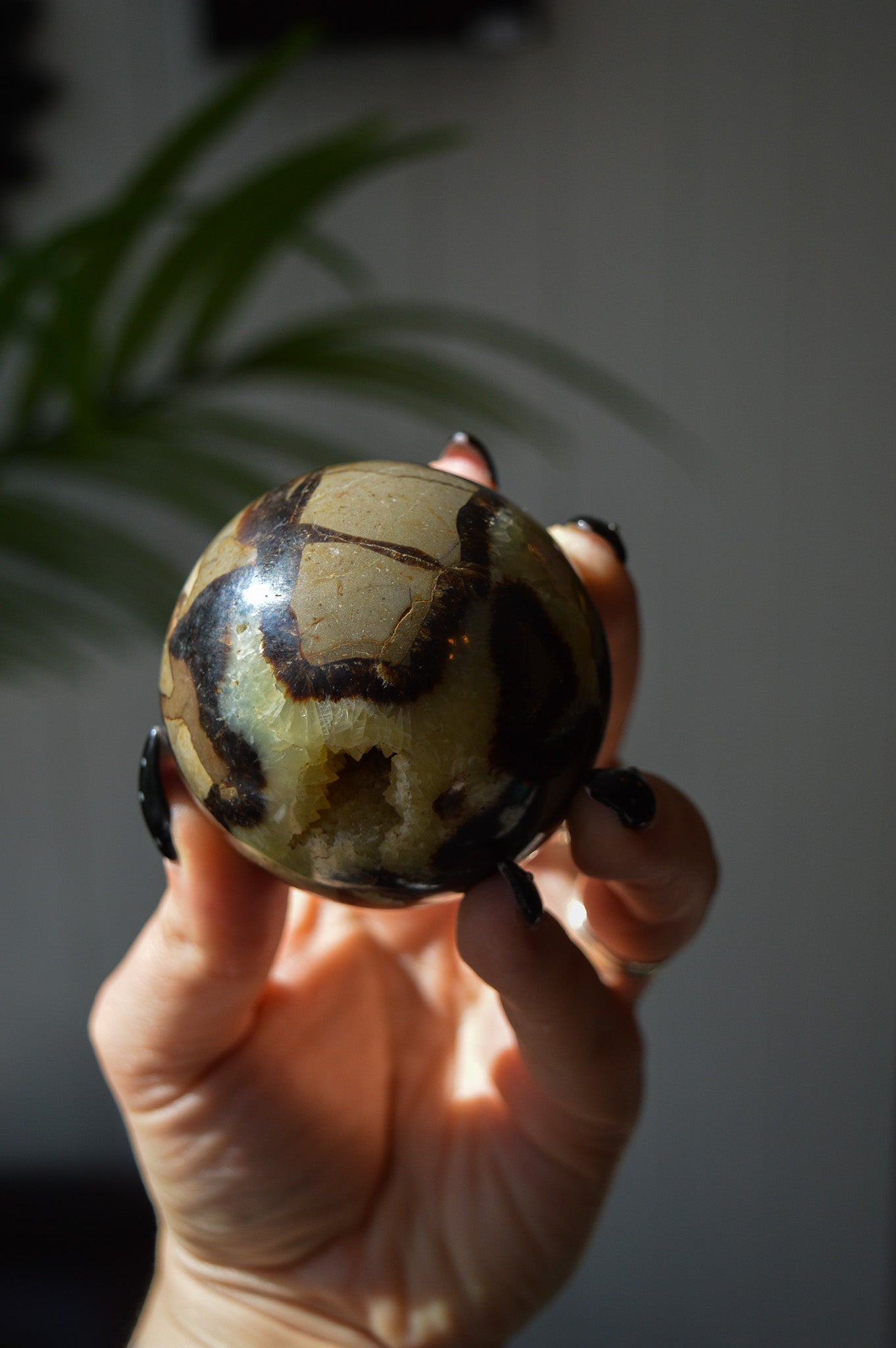 Septarian Sphere