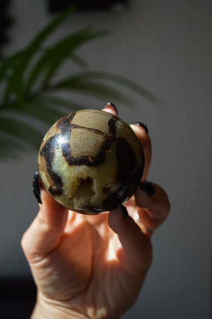 Septarian Sphere