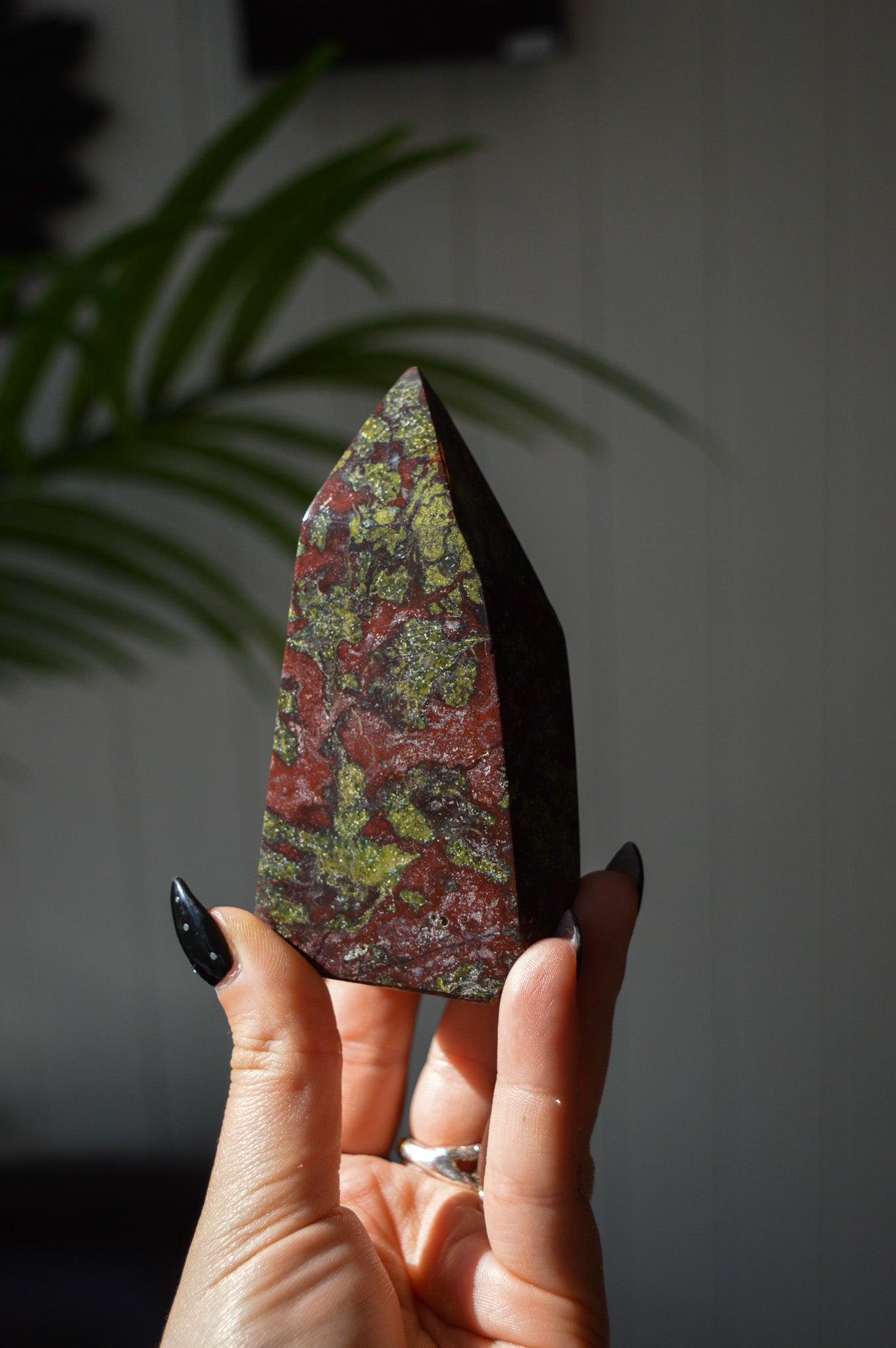 Dragon's Blood Jasper Freeform Point