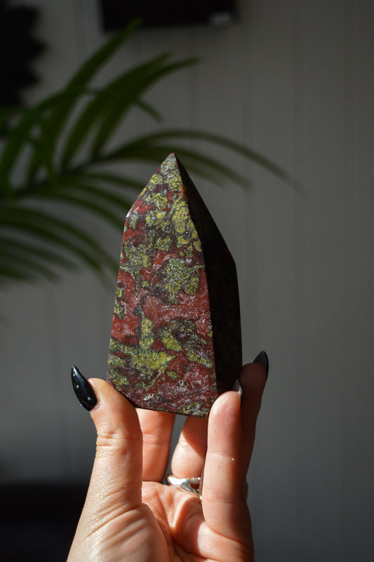 Dragon's Blood Jasper Freeform Point