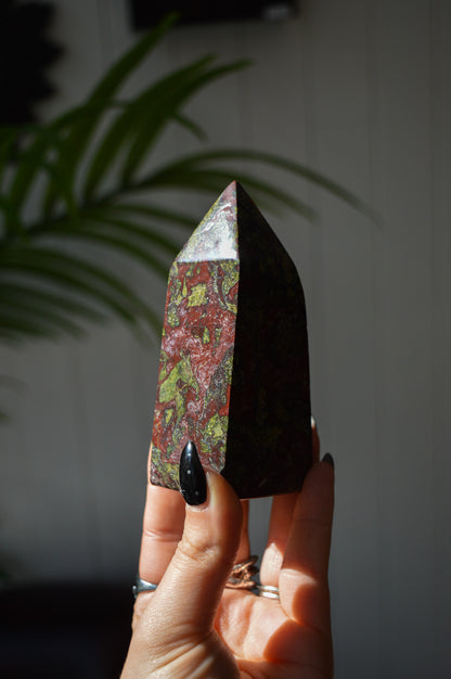 Dragon's Blood Jasper Freeform Point