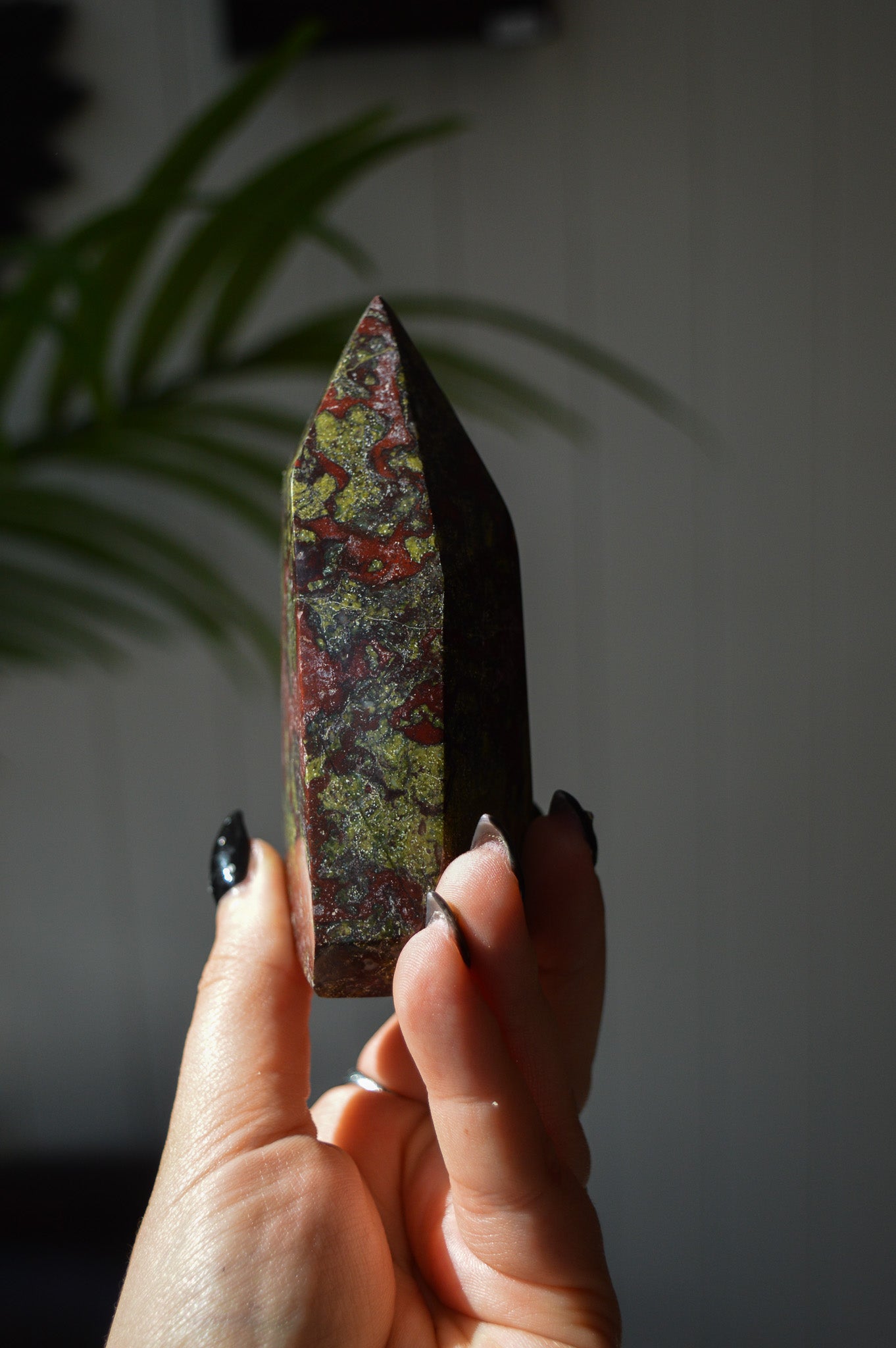 Dragon's Blood Jasper Freeform Point