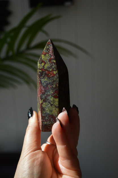 Dragon's Blood Jasper Freeform Point