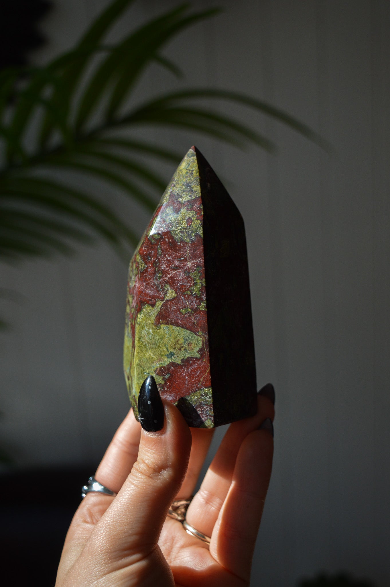 Dragon's Blood Jasper Freeform Point