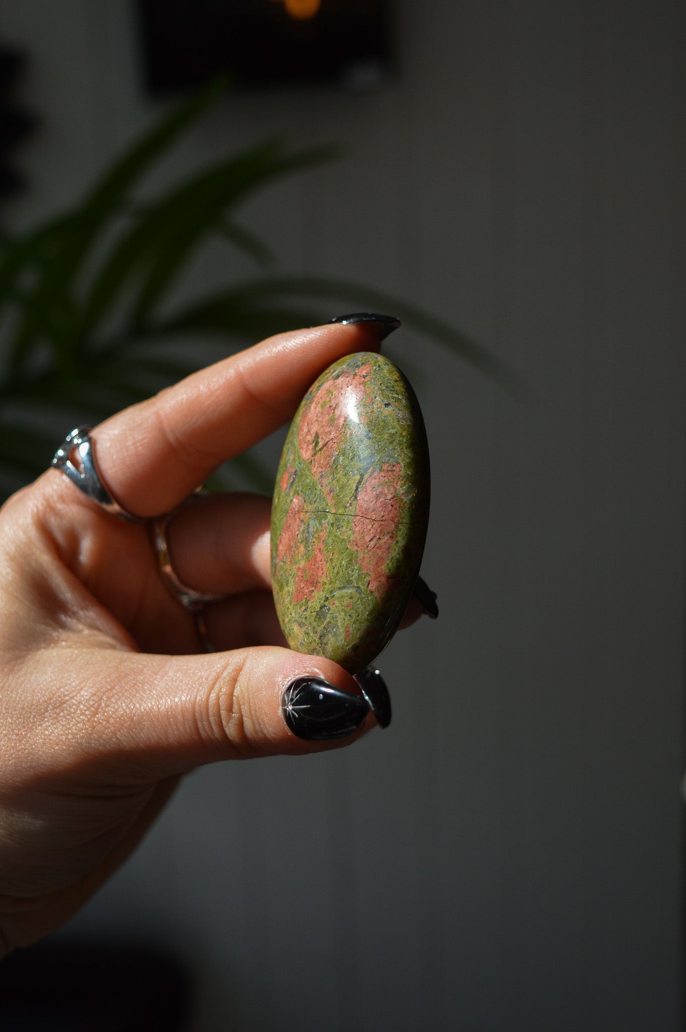 Unakite Palmstone