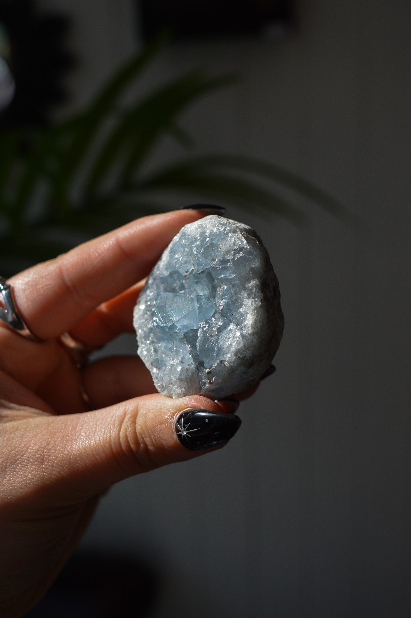 Celestite Cluster #1