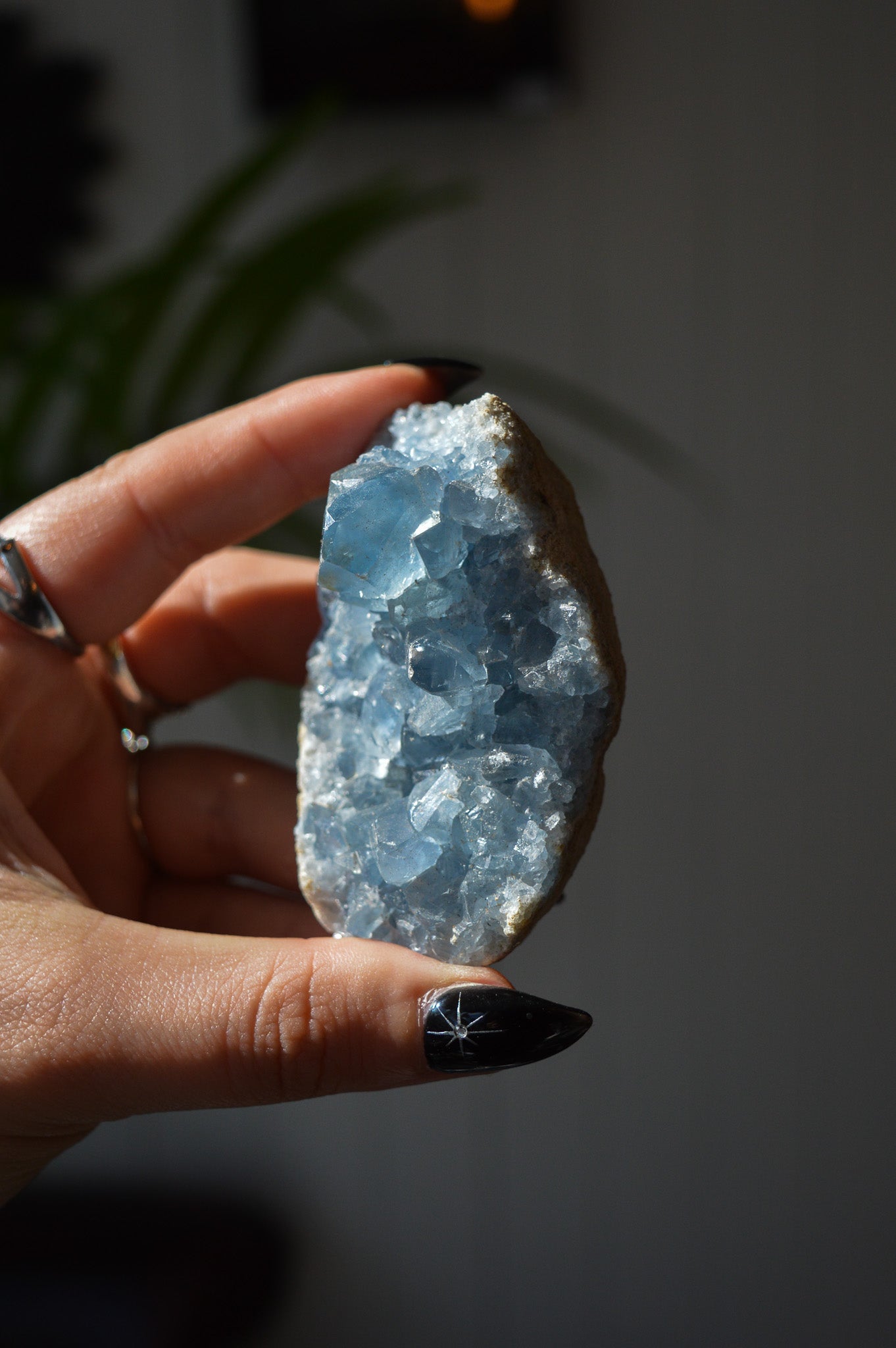 Celestite Cluster #2