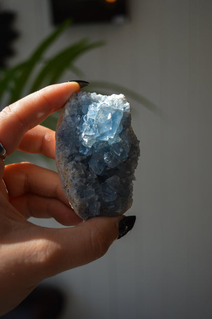 Celestite Cluster #2