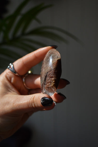 Garden Quartz (Lodolite) Palmstone #1