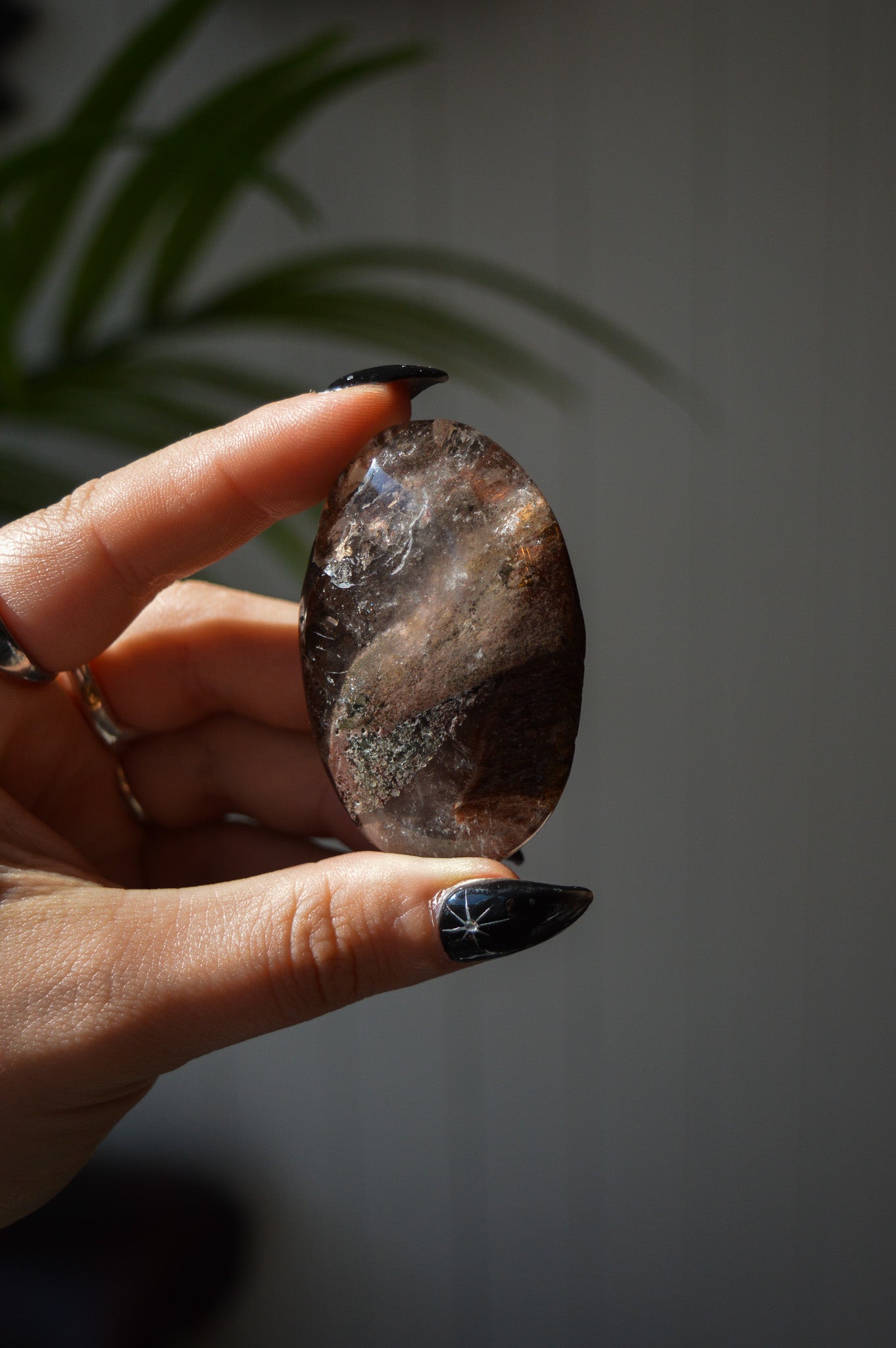 Garden Quartz (Lodolite) Palmstone #1