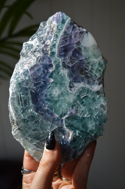 Rainbow Fluorite Slice
